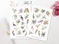 Preview: Summer Birds Sticker Set